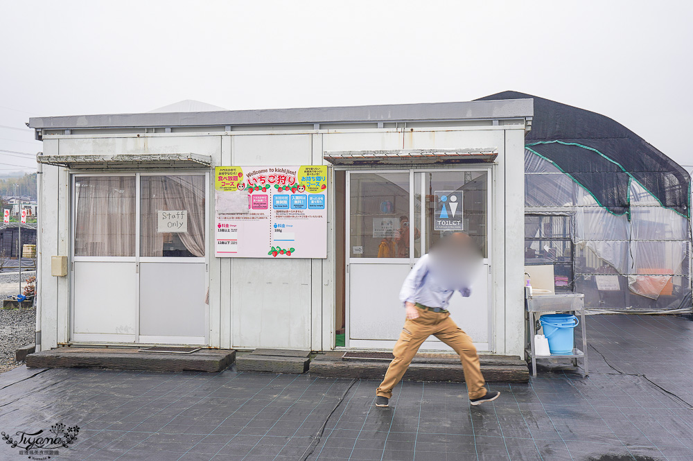 草莓吃到飽，現採現吃！熊本草莓園「吉次園」放題，熊本プリン水果布丁小店 @緹雅瑪 美食旅遊趣