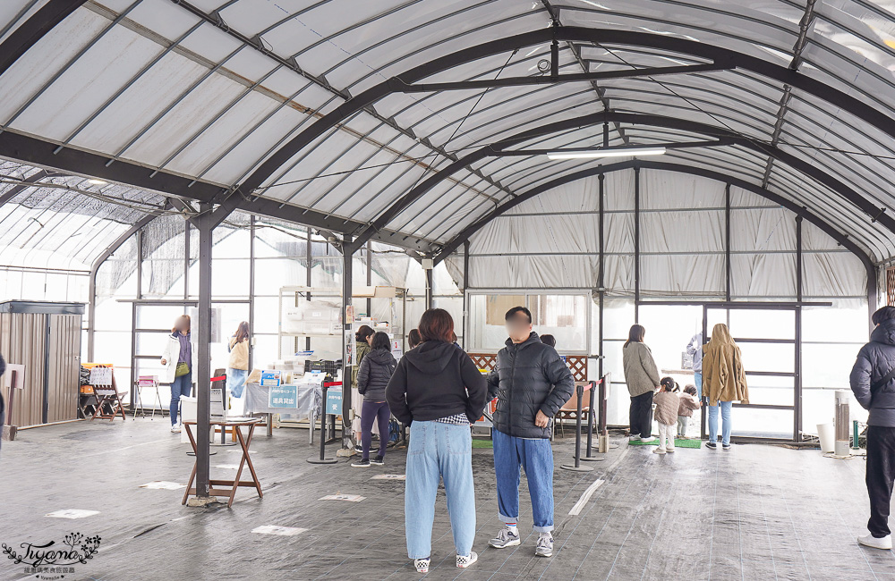 草莓吃到飽，現採現吃！熊本草莓園「吉次園」放題，熊本プリン水果布丁小店 @緹雅瑪 美食旅遊趣