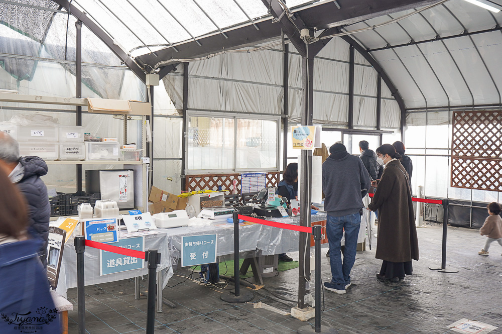 草莓吃到飽，現採現吃！熊本草莓園「吉次園」放題，熊本プリン水果布丁小店 @緹雅瑪 美食旅遊趣