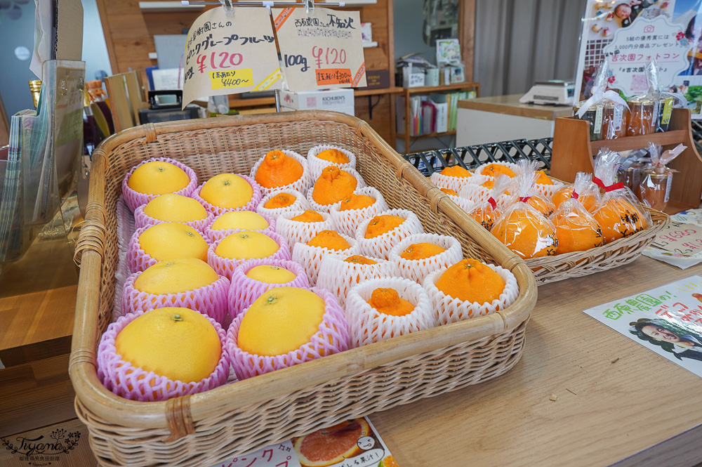 草莓吃到飽，現採現吃！熊本草莓園「吉次園」放題，熊本プリン水果布丁小店 @緹雅瑪 美食旅遊趣