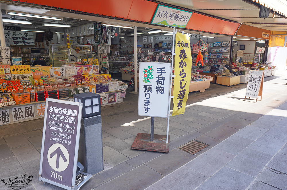 熊本必遊景點｜水前寺成趣園：江戶時期建造至今的日式庭園，熊本市區就有絕美庭園 @緹雅瑪 美食旅遊趣