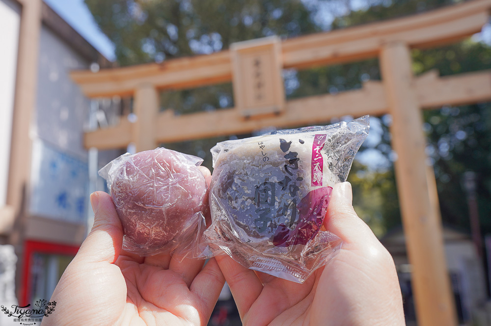 熊本必遊景點｜水前寺成趣園：江戶時期建造至今的日式庭園，熊本市區就有絕美庭園 @緹雅瑪 美食旅遊趣