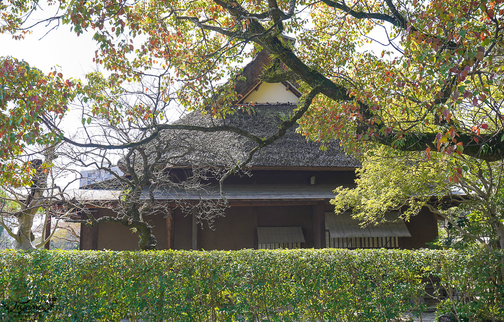 熊本必遊景點｜水前寺成趣園：江戶時期建造至今的日式庭園，熊本市區就有絕美庭園 @緹雅瑪 美食旅遊趣