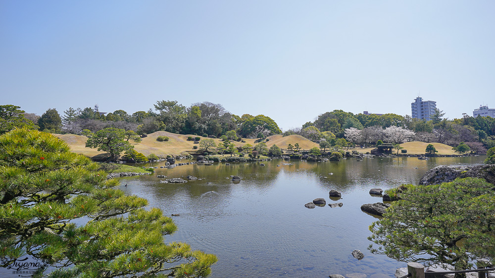 熊本必遊景點｜水前寺成趣園：江戶時期建造至今的日式庭園，熊本市區就有絕美庭園 @緹雅瑪 美食旅遊趣