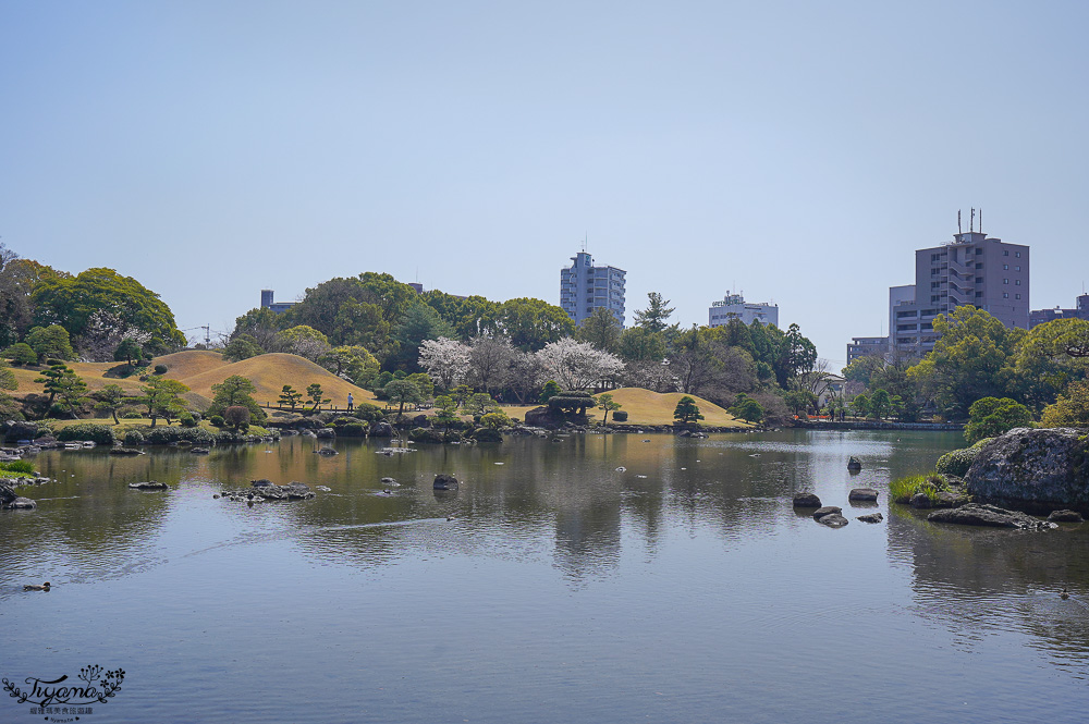 熊本必遊景點｜水前寺成趣園：江戶時期建造至今的日式庭園，熊本市區就有絕美庭園 @緹雅瑪 美食旅遊趣