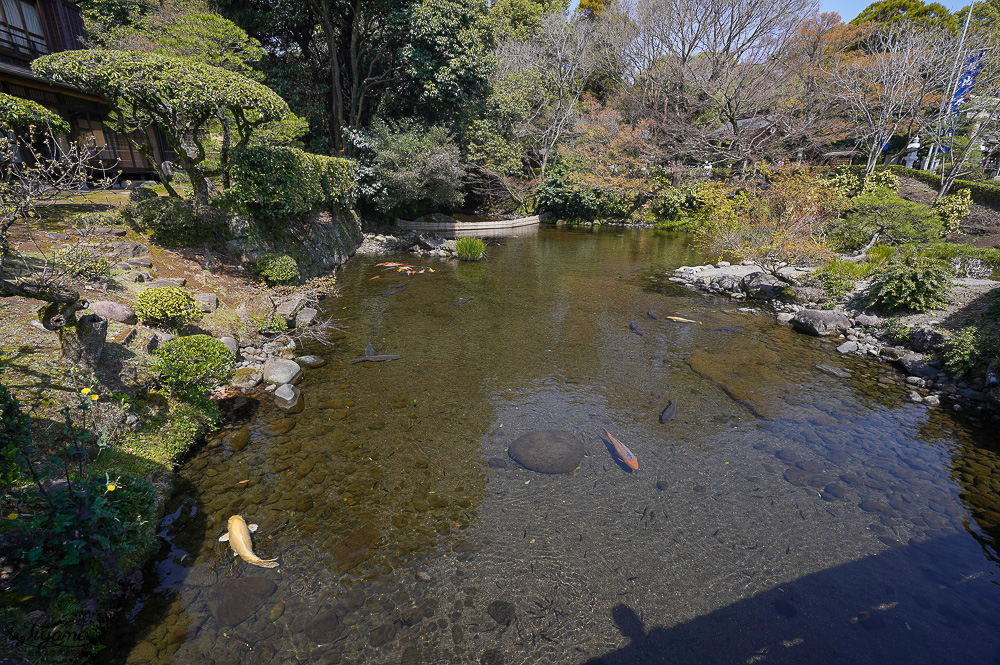 熊本必遊景點｜水前寺成趣園：江戶時期建造至今的日式庭園，熊本市區就有絕美庭園 @緹雅瑪 美食旅遊趣