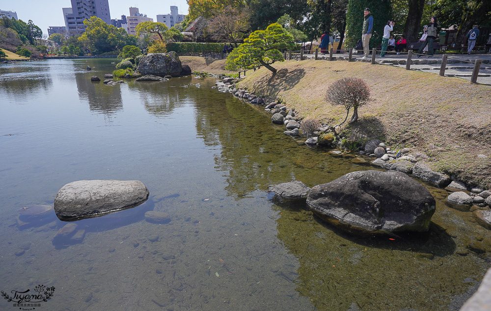 熊本必遊景點｜水前寺成趣園：江戶時期建造至今的日式庭園，熊本市區就有絕美庭園 @緹雅瑪 美食旅遊趣