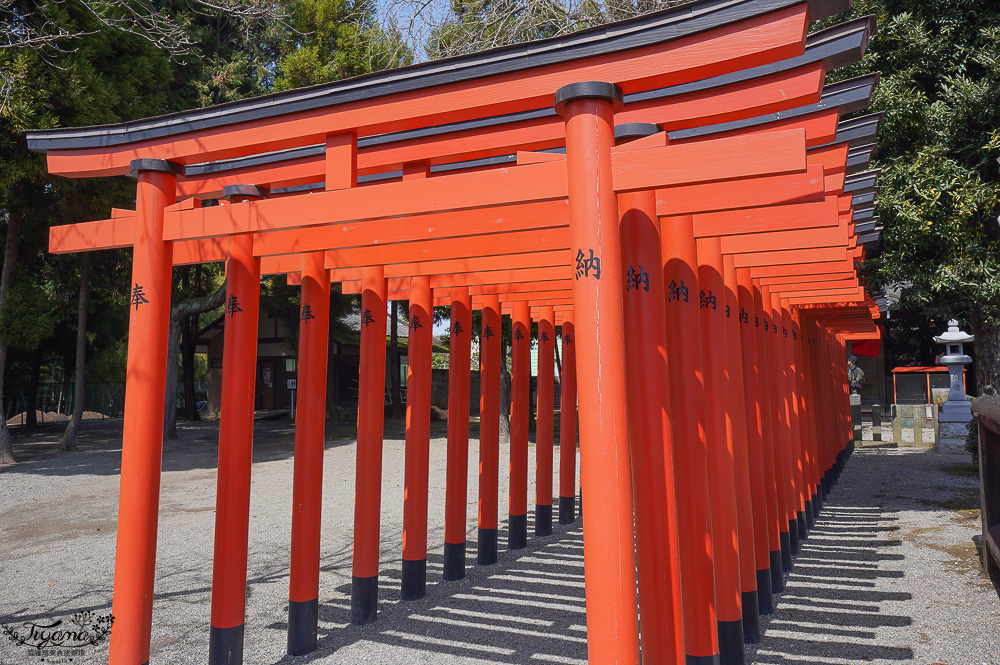 熊本必遊景點｜水前寺成趣園：江戶時期建造至今的日式庭園，熊本市區就有絕美庭園 @緹雅瑪 美食旅遊趣