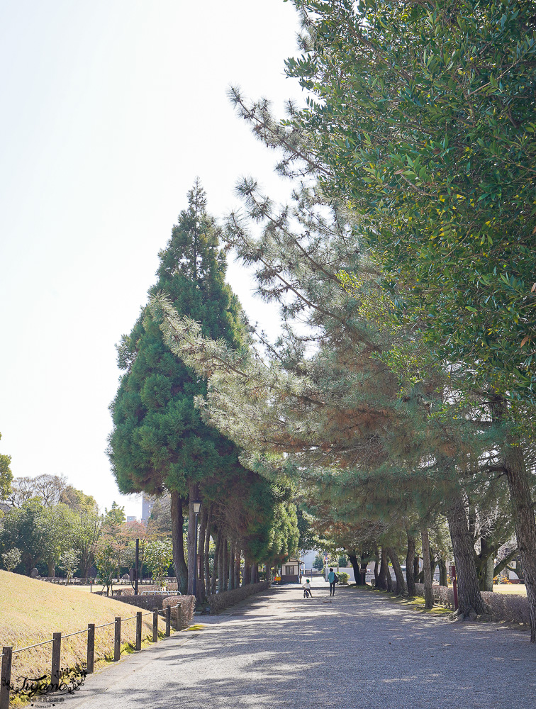 熊本必遊景點｜水前寺成趣園：江戶時期建造至今的日式庭園，熊本市區就有絕美庭園 @緹雅瑪 美食旅遊趣