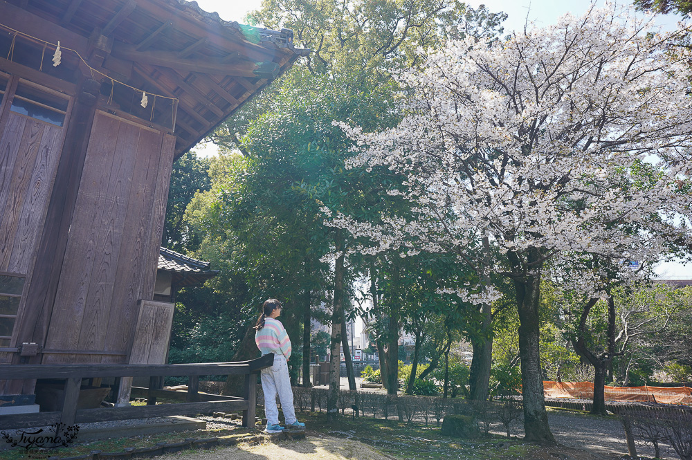 熊本必遊景點｜水前寺成趣園：江戶時期建造至今的日式庭園，熊本市區就有絕美庭園 @緹雅瑪 美食旅遊趣