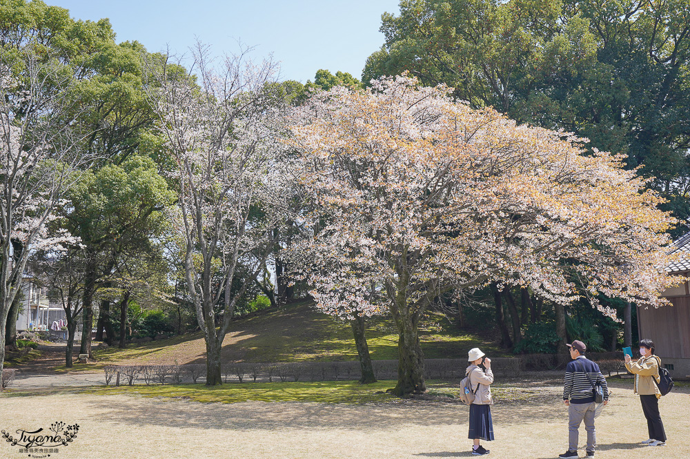 熊本必遊景點｜水前寺成趣園：江戶時期建造至今的日式庭園，熊本市區就有絕美庭園 @緹雅瑪 美食旅遊趣