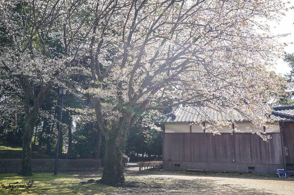 熊本必遊景點｜水前寺成趣園：江戶時期建造至今的日式庭園，熊本市區就有絕美庭園 @緹雅瑪 美食旅遊趣