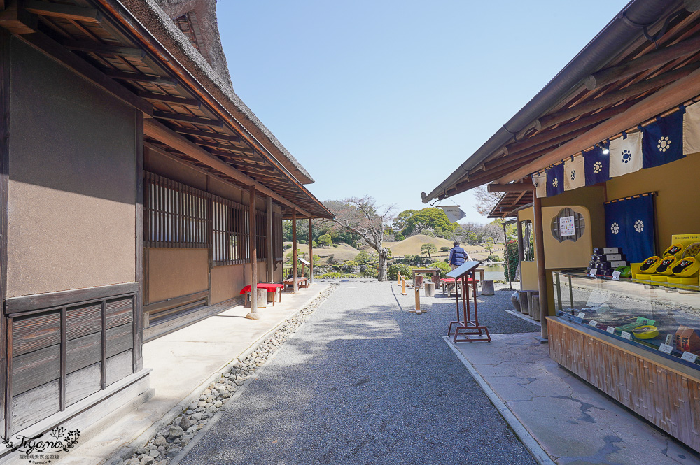 熊本必遊景點｜水前寺成趣園：江戶時期建造至今的日式庭園，熊本市區就有絕美庭園 @緹雅瑪 美食旅遊趣