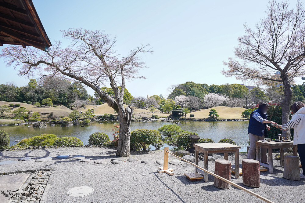 熊本必遊景點｜水前寺成趣園：江戶時期建造至今的日式庭園，熊本市區就有絕美庭園 @緹雅瑪 美食旅遊趣