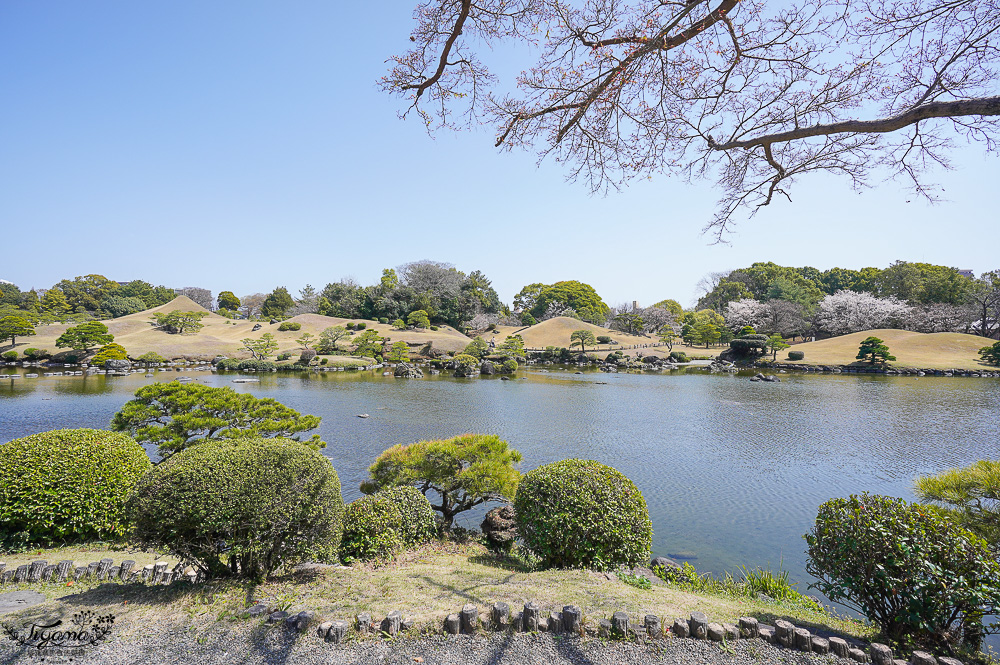 熊本必遊景點｜水前寺成趣園：江戶時期建造至今的日式庭園，熊本市區就有絕美庭園 @緹雅瑪 美食旅遊趣