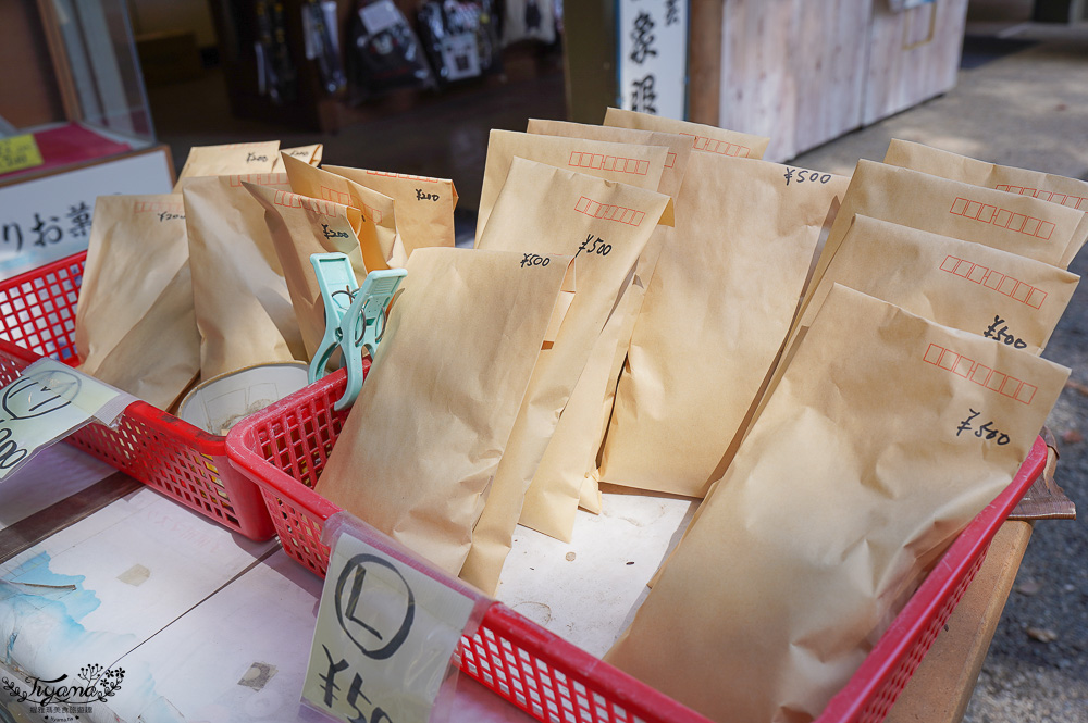 熊本必遊景點｜水前寺成趣園：江戶時期建造至今的日式庭園，熊本市區就有絕美庭園 @緹雅瑪 美食旅遊趣