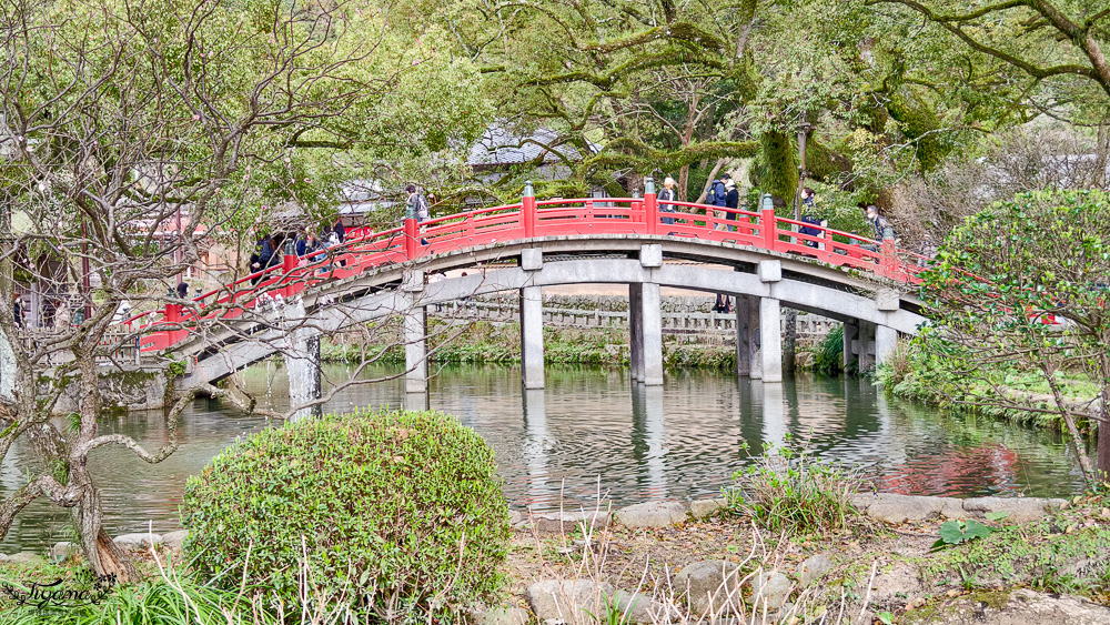 九州福岡「太宰府天滿宮」太宰府半日遊，參拜學問之神，太宰府參道前吃美食 @緹雅瑪 美食旅遊趣