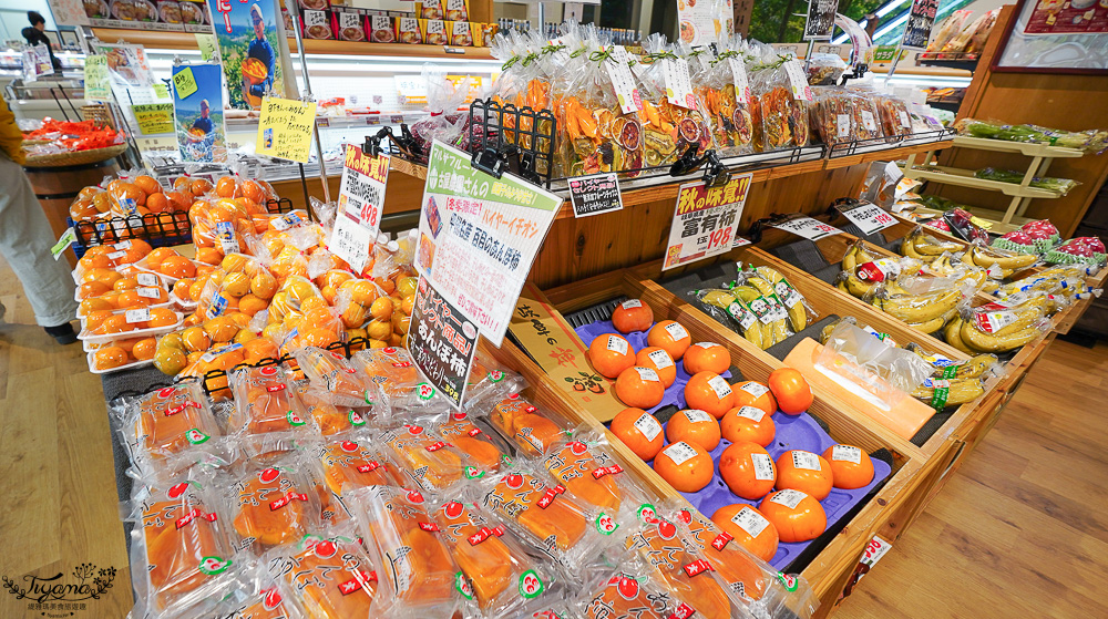 飛驒高山老街超市！Sato Family Store Kokubunji-ten，水果零食泡麵補給站 @緹雅瑪 美食旅遊趣