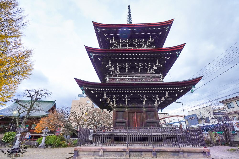 高山飛驒絕美的巨大千年銀杏樹！！美不勝收「飛驒國分寺」銀杏樹+三重塔美景 @緹雅瑪 美食旅遊趣