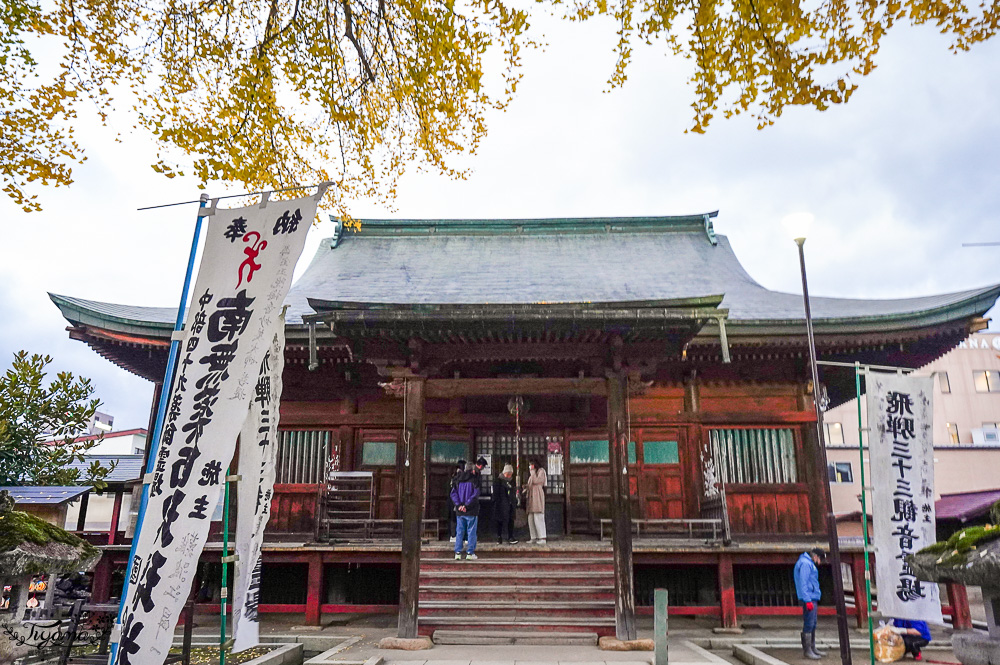 高山飛驒絕美的巨大千年銀杏樹！！美不勝收「飛驒國分寺」銀杏樹+三重塔美景 @緹雅瑪 美食旅遊趣