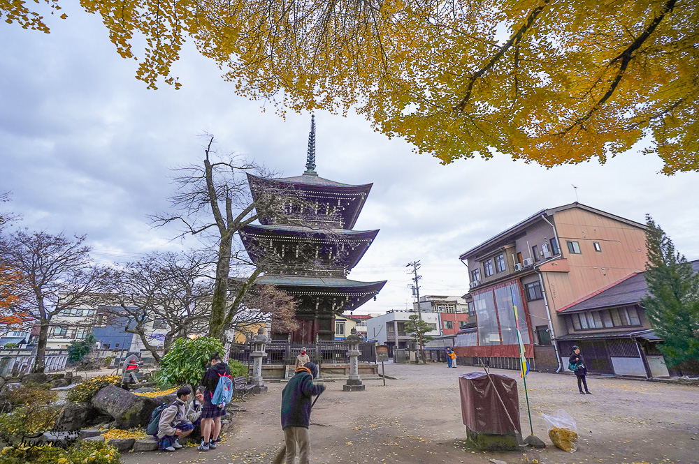 高山飛驒絕美的巨大千年銀杏樹！！美不勝收「飛驒國分寺」銀杏樹+三重塔美景 @緹雅瑪 美食旅遊趣