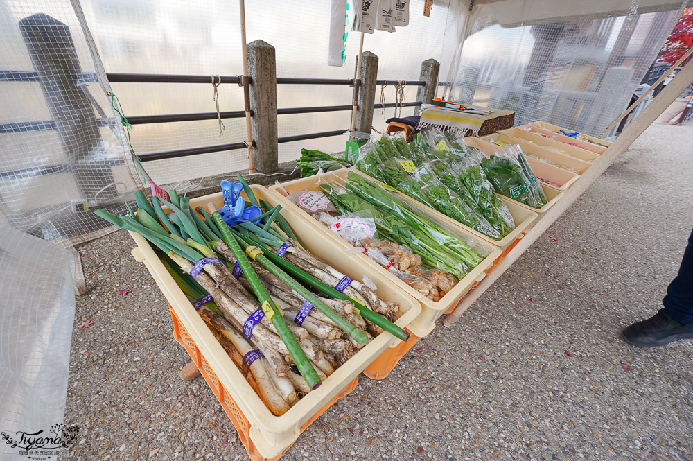 飛驒高山小京都必逛的「宮川朝市」朝市美食、新鮮水果，土產老店 @緹雅瑪 美食旅遊趣