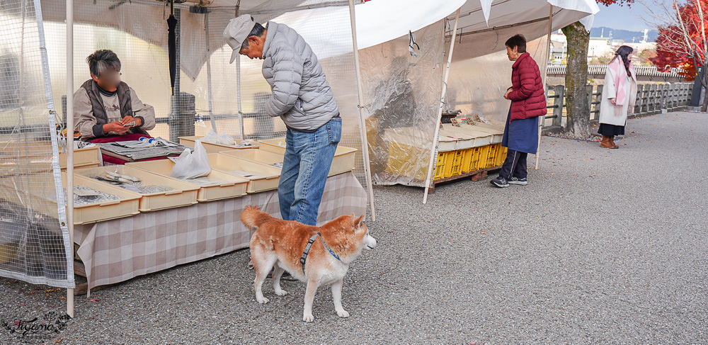 飛驒高山小京都必逛的「宮川朝市」朝市美食、新鮮水果，土產老店 @緹雅瑪 美食旅遊趣