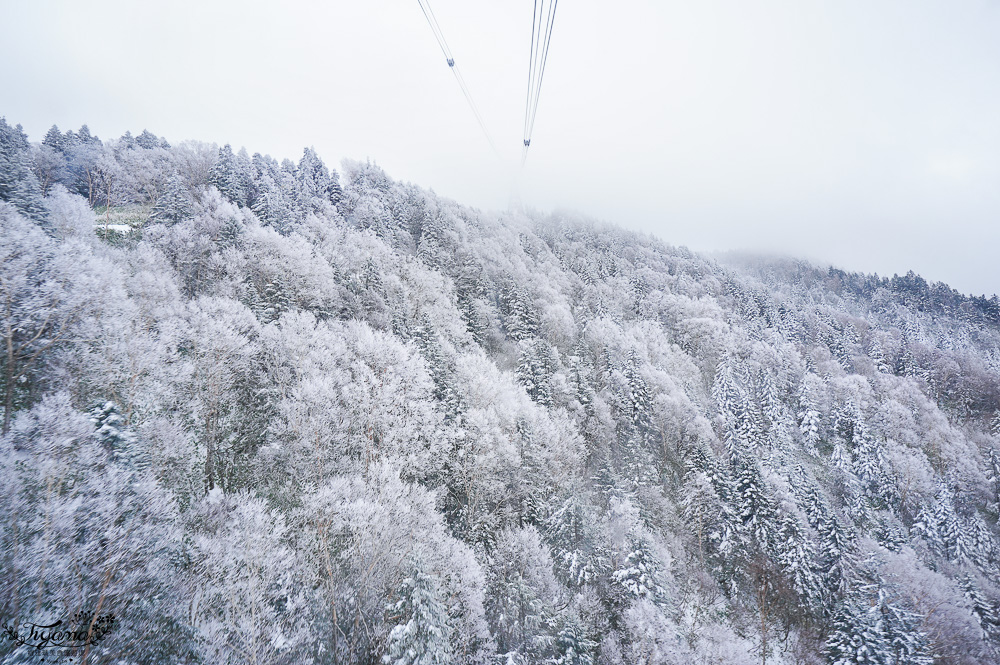 奧飛驒景點「新穗高纜車」阿爾卑斯群山美景，新穗高空纜車全日本唯一兩層纜車，米其林2級美景 @緹雅瑪 美食旅遊趣