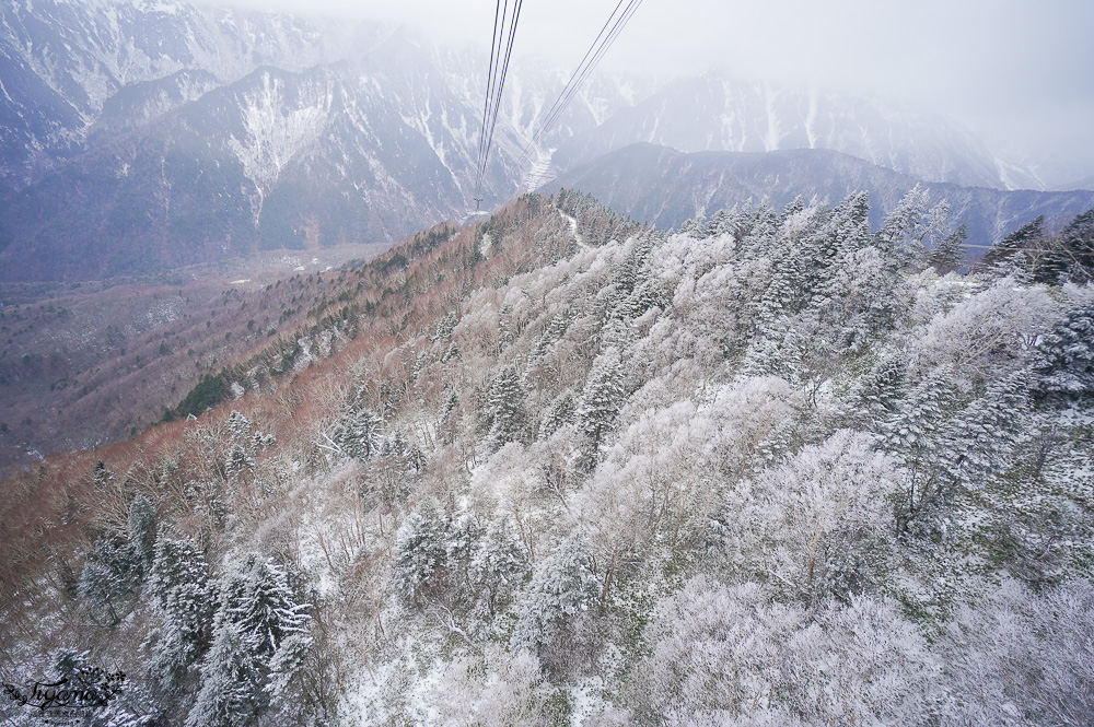 奧飛驒景點「新穗高纜車」阿爾卑斯群山美景，新穗高空纜車全日本唯一兩層纜車，米其林2級美景 @緹雅瑪 美食旅遊趣