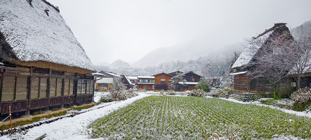 岐阜景點．迷人的「白川鄉合掌造聚落」一生必訪的世界文化遺產 @緹雅瑪 美食旅遊趣