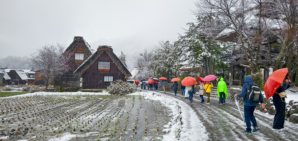 岐阜景點．迷人的「白川鄉合掌造聚落」一生必訪的世界文化遺產 @緹雅瑪 美食旅遊趣