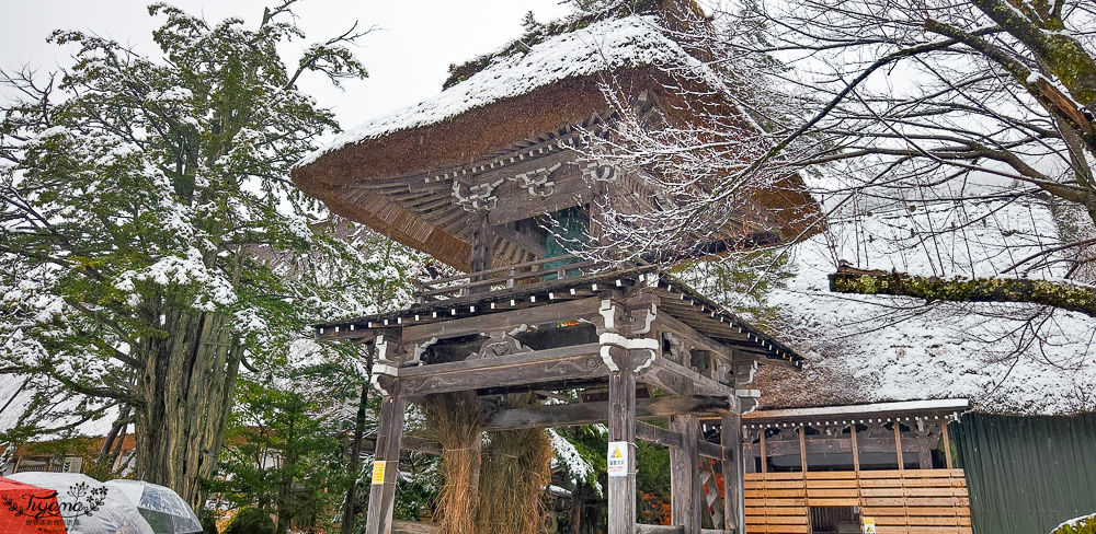 岐阜景點．迷人的「白川鄉合掌造聚落」一生必訪的世界文化遺產 @緹雅瑪 美食旅遊趣