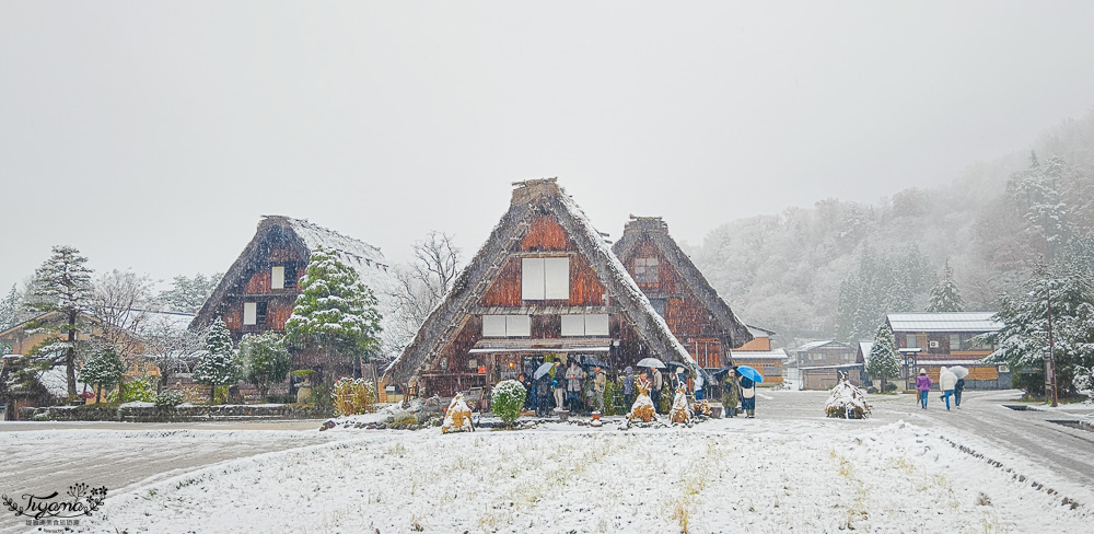 岐阜.白川合掌村古造屋日式圍爐咖啡館「喫茶 落人」厚小倉吐司.人氣咖哩飯售完為止.紅豆湯免費續 @緹雅瑪 美食旅遊趣