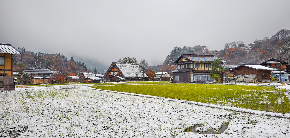 岐阜景點．迷人的「白川鄉合掌造聚落」一生必訪的世界文化遺產 @緹雅瑪 美食旅遊趣