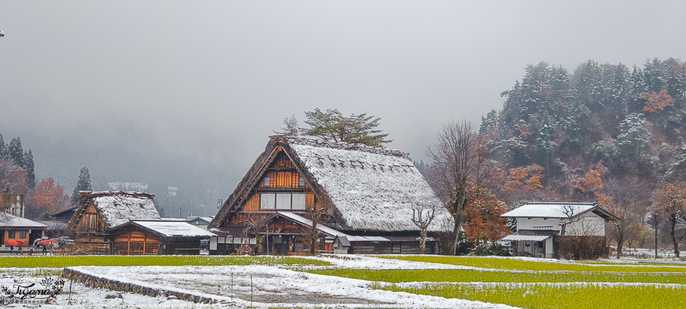 岐阜景點．迷人的「白川鄉合掌造聚落」一生必訪的世界文化遺產 @緹雅瑪 美食旅遊趣