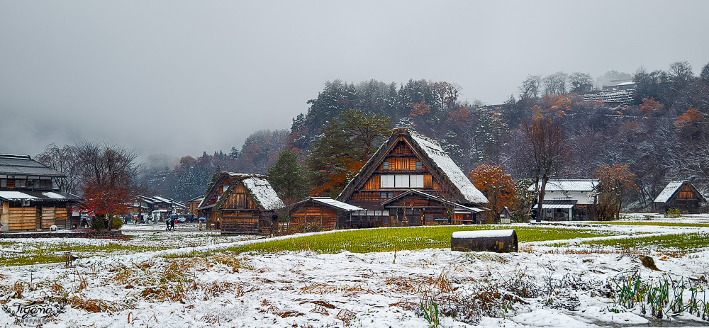 岐阜景點．迷人的「白川鄉合掌造聚落」一生必訪的世界文化遺產 @緹雅瑪 美食旅遊趣