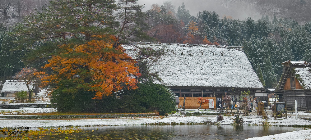 岐阜景點．迷人的「白川鄉合掌造聚落」一生必訪的世界文化遺產 @緹雅瑪 美食旅遊趣