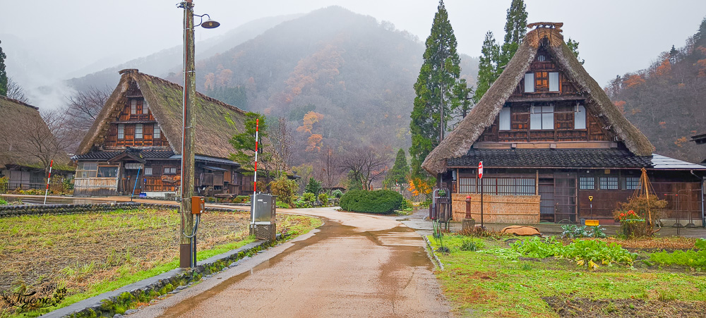 日本富山｜五箇山菅沼合掌造聚落，世界遺産傳統茅草村落，幾乎沒有觀光客的秘境 @緹雅瑪 美食旅遊趣