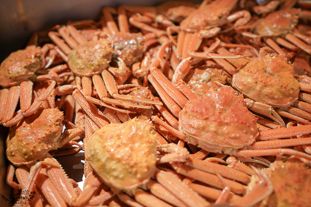 北海道三大螃蟹吃到飽「 伝 Den-JAPANESE BUFFET DINING」,螃蟹.海鮮.肉品.壽司.軟性飲料任你吃,BBQ、涮涮鍋二選一,KKday加碼90分鐘 @緹雅瑪 美食旅遊趣 北海道三大螃蟹吃到飽「 伝 Den-JAPANESE BUFFET DINING」,螃蟹.海鮮.肉品.壽司.軟性飲料任你吃,BBQ、涮涮鍋二選一,KKday加碼90分鐘 @緹雅瑪 美食旅遊趣