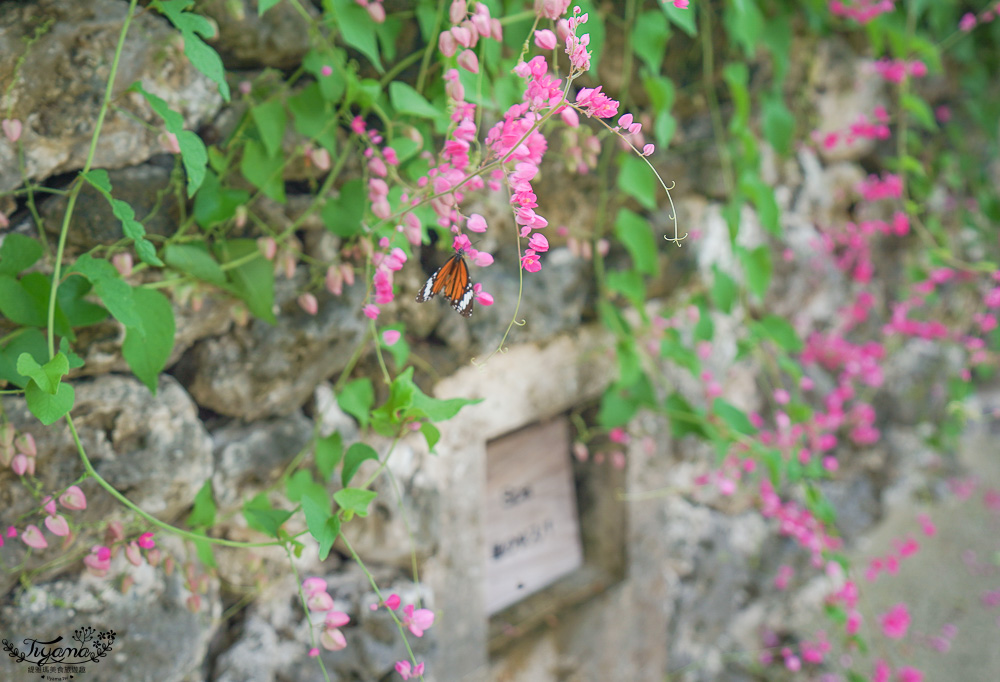 竹富島奢華住宿｜虹夕諾雅 竹富島 一泊二食極緻享受！！來去宛如與世隔絕般的南方小島住一晚 @緹雅瑪 美食旅遊趣