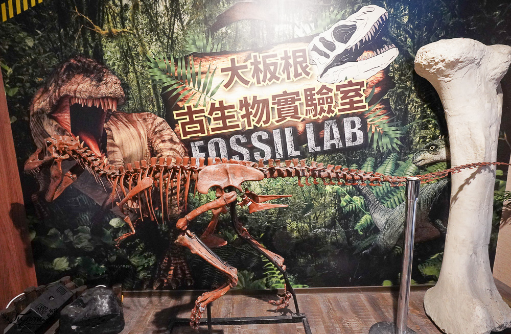 新北住宿度假村推薦「大板根森林溫泉酒店」2025全新觀景溫泉別墅｜恐龍森林夏令營｜古生物實驗室｜太子西餐廳自助餐｜麗宴中餐廳 @緹雅瑪 美食旅遊趣