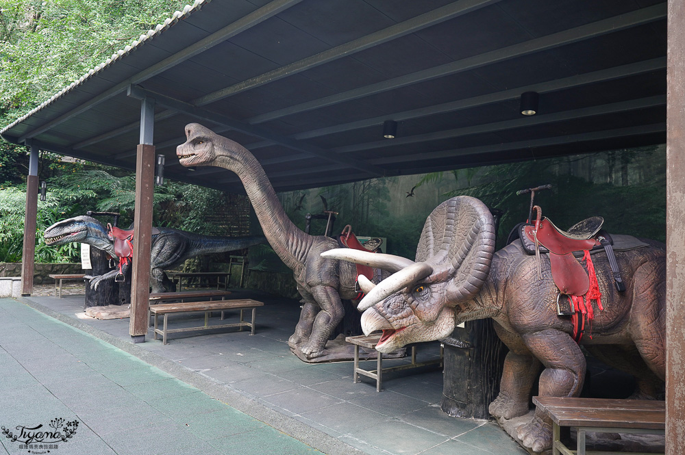 新北住宿度假村推薦「大板根森林溫泉酒店」2025全新觀景溫泉別墅｜恐龍森林夏令營｜古生物實驗室｜太子西餐廳自助餐｜麗宴中餐廳 @緹雅瑪 美食旅遊趣