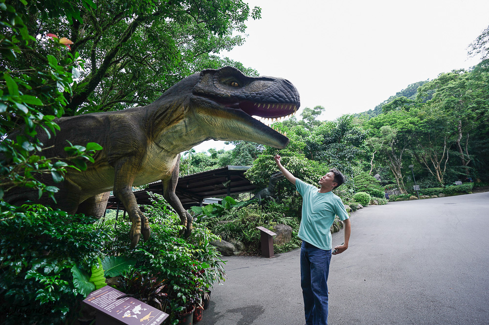 新北住宿度假村推薦「大板根森林溫泉酒店」2025全新觀景溫泉別墅｜恐龍森林夏令營｜古生物實驗室｜太子西餐廳自助餐｜麗宴中餐廳 @緹雅瑪 美食旅遊趣