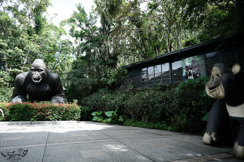 新北住宿度假村推薦「大板根森林溫泉酒店」2025全新觀景溫泉別墅｜恐龍森林夏令營｜古生物實驗室｜太子西餐廳自助餐｜麗宴中餐廳 @緹雅瑪 美食旅遊趣