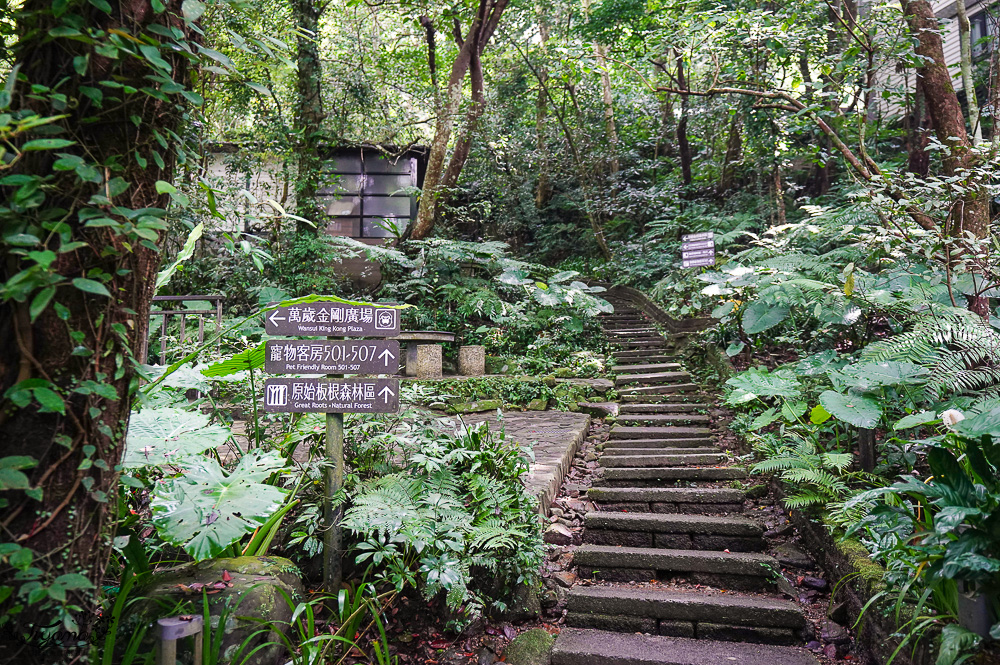 新北住宿度假村推薦「大板根森林溫泉酒店」2025全新觀景溫泉別墅｜恐龍森林夏令營｜古生物實驗室｜太子西餐廳自助餐｜麗宴中餐廳 @緹雅瑪 美食旅遊趣