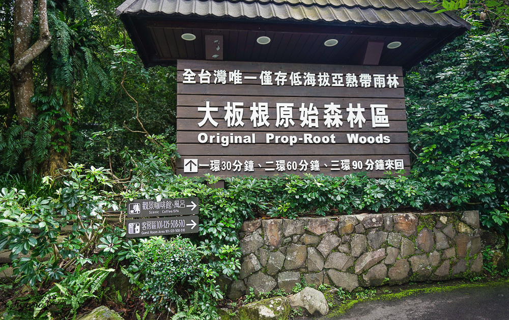 新北住宿度假村推薦「大板根森林溫泉酒店」2025全新觀景溫泉別墅｜恐龍森林夏令營｜古生物實驗室｜太子西餐廳自助餐｜麗宴中餐廳 @緹雅瑪 美食旅遊趣