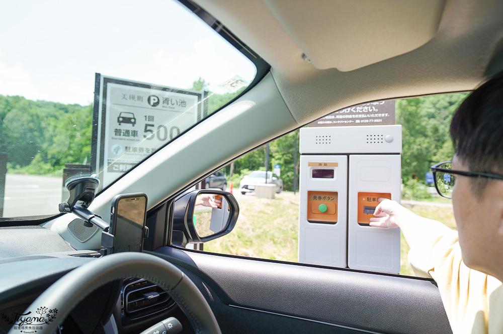 北海道美瑛｜白金青池：絕美青藍人池，美瑛知名人氣景點 @緹雅瑪 美食旅遊趣