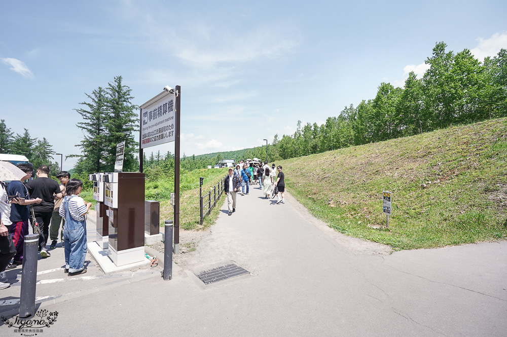 北海道美瑛｜白金青池：絕美青藍人池，美瑛知名人氣景點 @緹雅瑪 美食旅遊趣