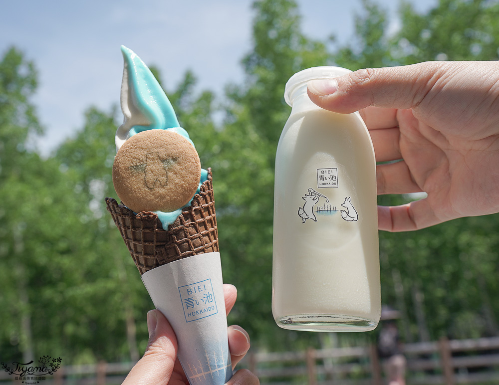 北海道美瑛｜白金青池：絕美青藍人池，美瑛知名人氣景點 @緹雅瑪 美食旅遊趣