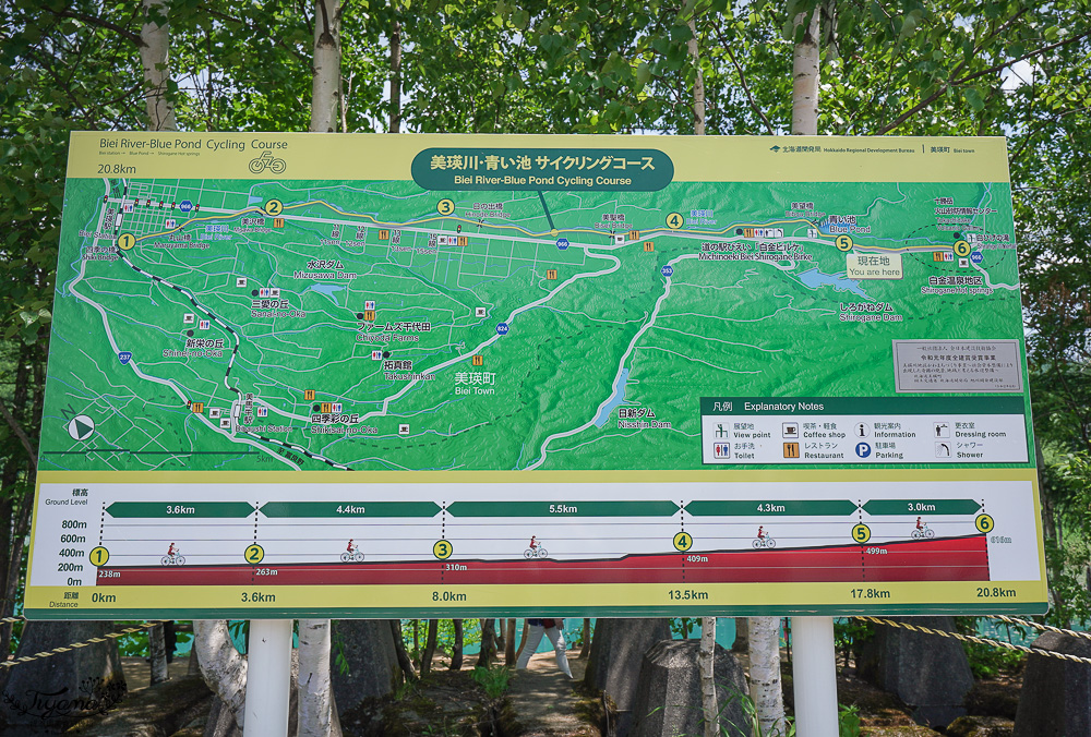 北海道美瑛｜白金青池：絕美青藍人池，美瑛知名人氣景點 @緹雅瑪 美食旅遊趣